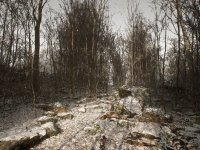 Abandoned: Blue Box risponde a Kojima, ma viene subito attaccato