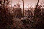Abandoned: lo sviluppatore afferma di aver contattato Konami, editore di Silent Hill - Notizia