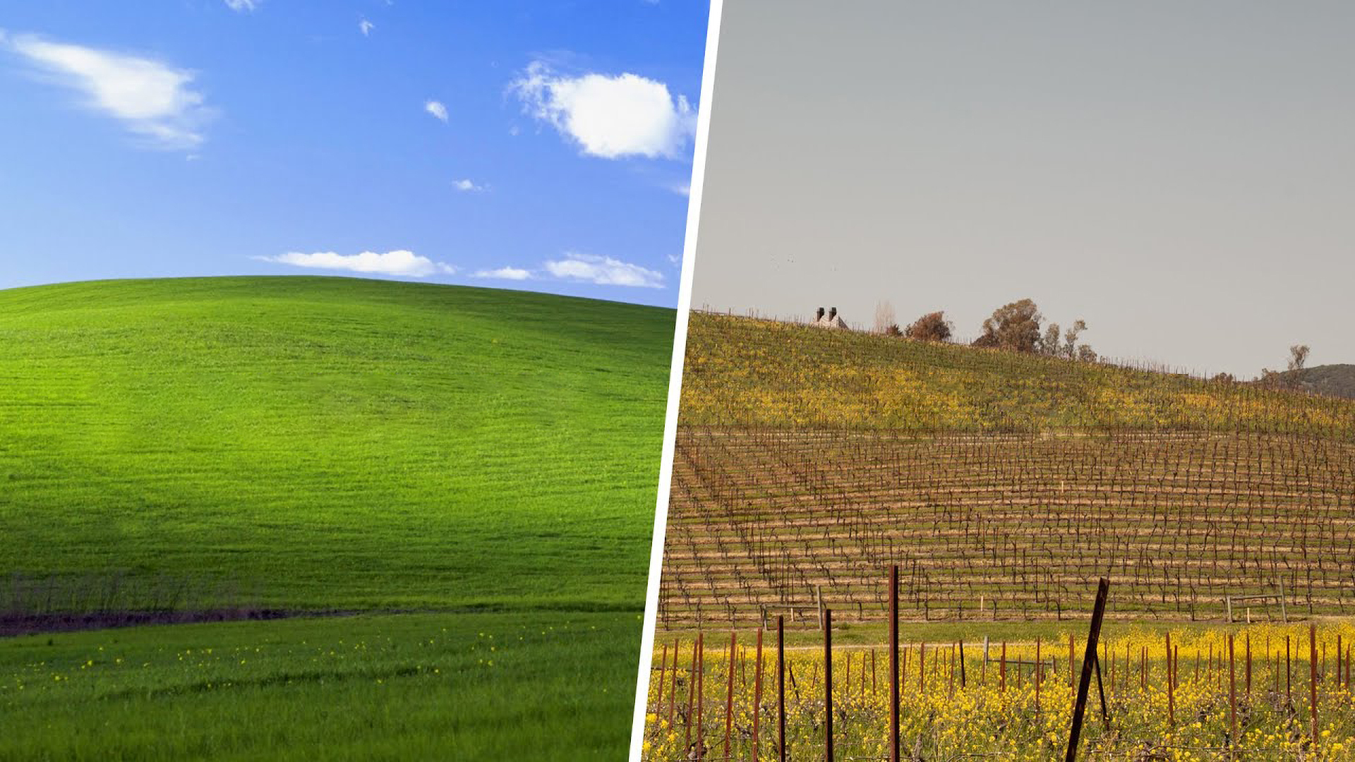 Windows XP. A video shows the mountain in the background of ‘Bliss’ as