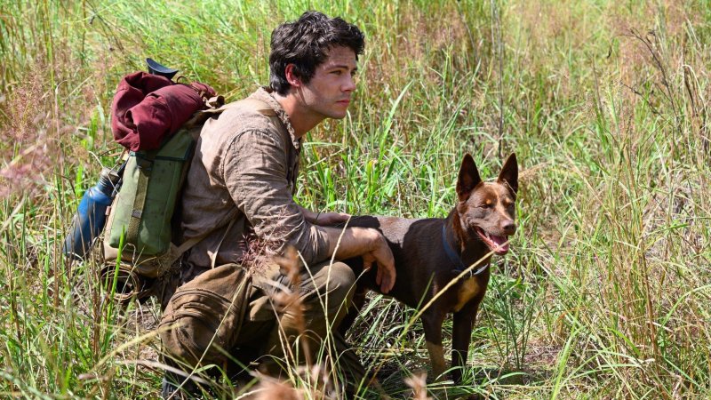 Love and Monsters: Dylan O'Brien in una scena.
