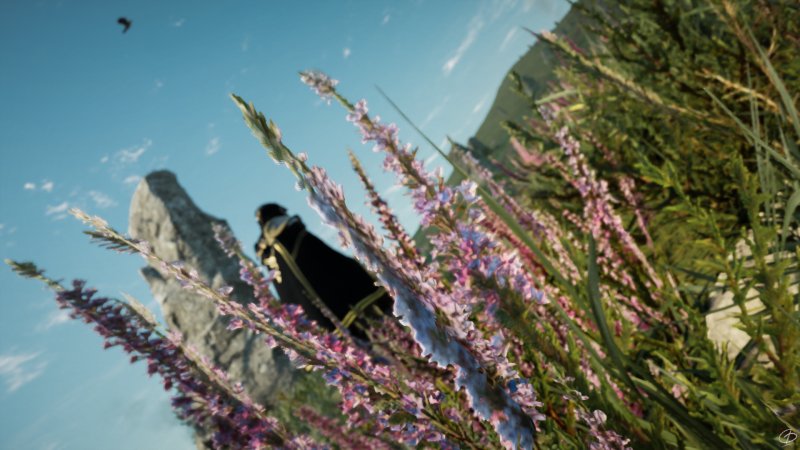 Assassin's Creed Valhalla - L'Ira dei Druidi: le verdi terre d'Irlanda Assassin's Creed Valhalla - L'Ira dei Druidi: le verdi terre d'Irlanda