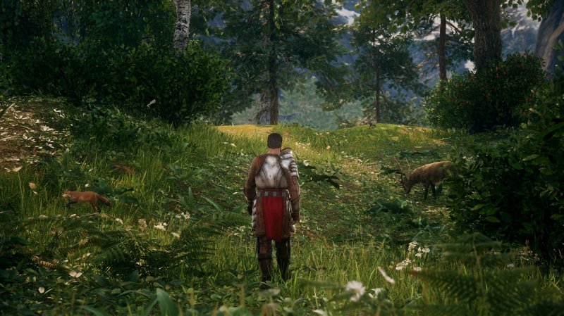 La seconda area è molto più ampia della prima e permette di esplorare più liberamente