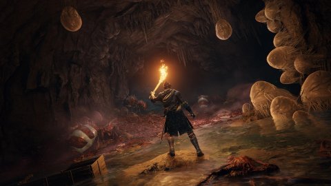 Elden Ring: Ray tracing will be added in an upcoming update, confirmed