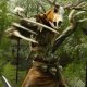 The Witcher: Monster Slayer, una data d'uscita per il gioco free-to-play su smartphone