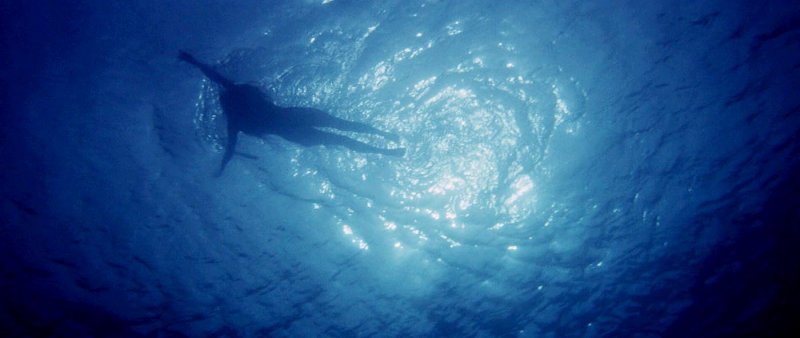 Soggettiva e videogiochi: il punto di vista del killer è ricorrente nel cinema thriller e horror, anche quando non si tratta di un essere umano Soggettiva e videogiochi: il punto di vista del killer è ricorrente nel cinema thriller e horror, anche quando non si tratta di un essere umano