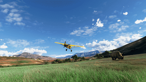 Microsoft Flight Simulator is the game of July 2021
