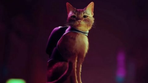 Stray: Our preview of the intriguing feline adventure coming to PS4, PS5 and PC