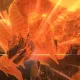 Monster Hunter Stories 2: trailer presenta l'update 2, con Kulve Taroth e molto altro ancora