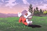 Leggende Pokémon: Arceus, dettagli per Wyrdeer, Basculegion e le forme regionali Hisui di Growlithe e Braviary - Notizia