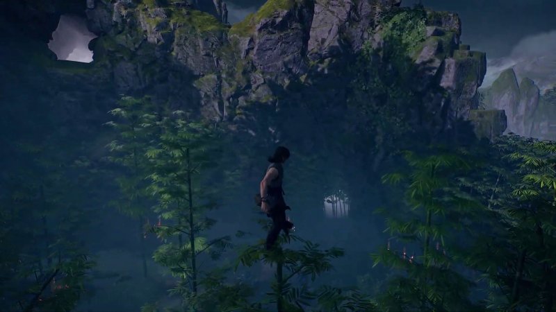 L'agilità del protagonista consente di spostarsi in cima ad alberi e bambù L'agilità del protagonista consente di spostarsi in cima ad alberi e bambù