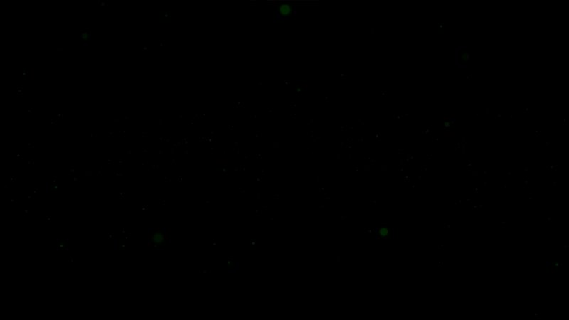 The Vale: Shadow of the Crown