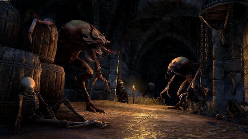 The Elder Scrolls Online: Waking Flame