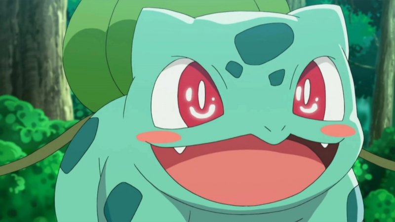 Ma quanto è carino? Ma quanto è carino?