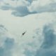 Sky Warriors: Guerra Aerea - Trailer con la data di uscita