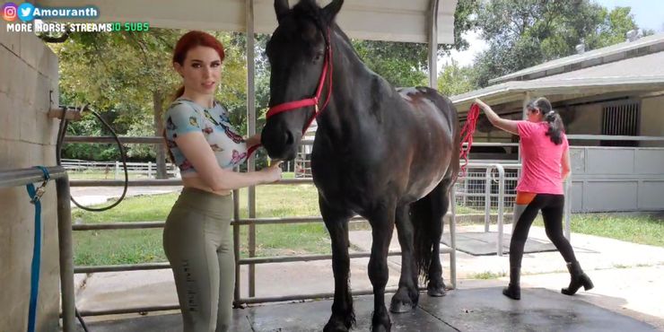 Amouranth durante uno dei suoi streaming da un ranch Amouranth durante uno dei suoi streaming da un ranch