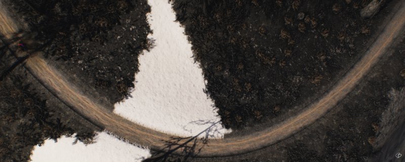 Riders Republic: la suggestiva foresta bruciata