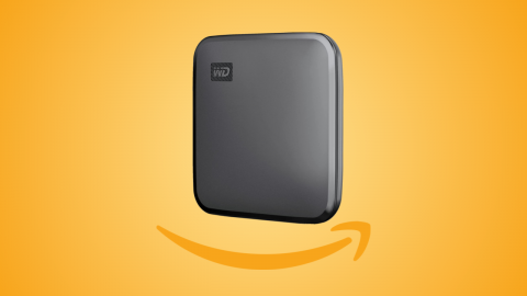 Compact portable SSD 1 TB: Amazon offer of Black Friday 2021, WD Elements SE