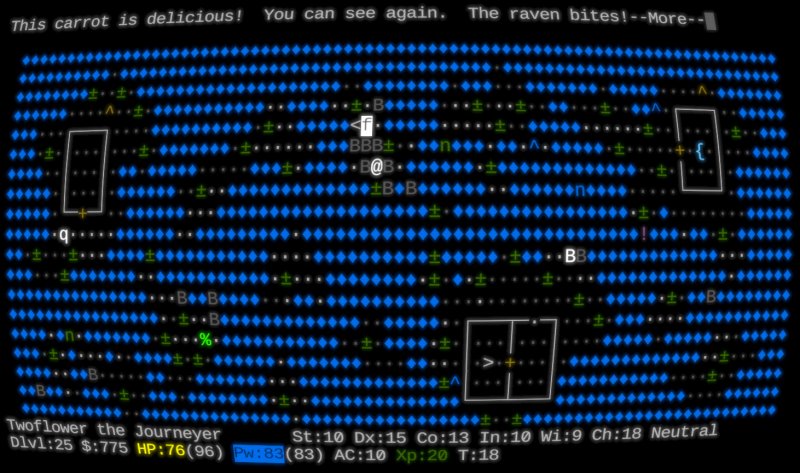 NetHack è uno dei titoli fondanti dei Roguelike