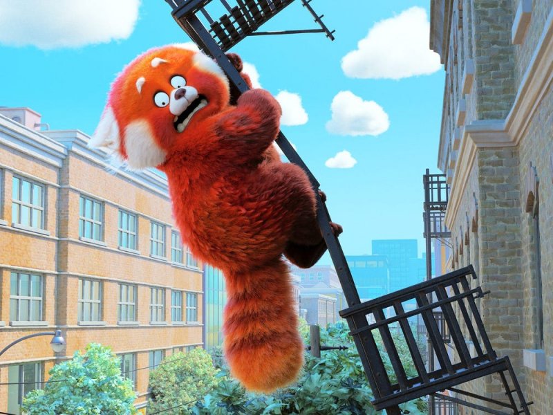 Turning Red, un'immagine del film