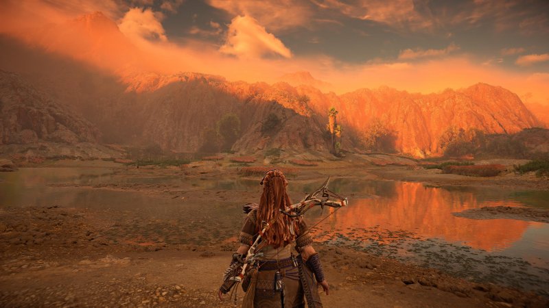 Horiszon Forbidden West: immagina di lamentarti della grafica di questo gioco... Horiszon Forbidden West: immagina di lamentarti della grafica di questo gioco...