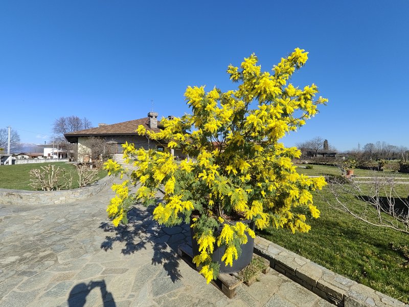 Uno scatto con la grandangolare di Realme GT 2 Pro