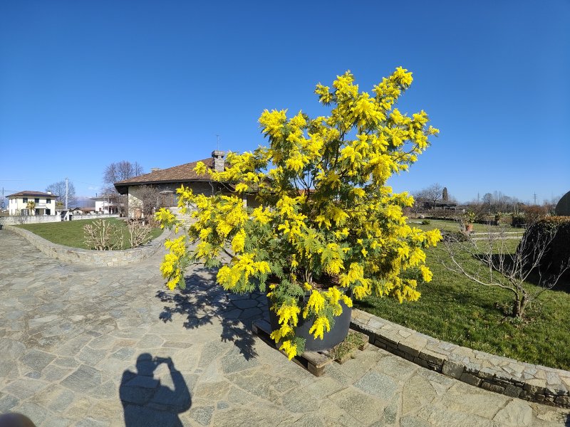 Uno scatto con l'ultra grandangolare 150° di Realme GT 2 Pro