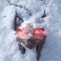 Emergono alcuni dettagli su Project Hadar, la nuova IP degli autori di The Witcher e Cyberpunk 2077