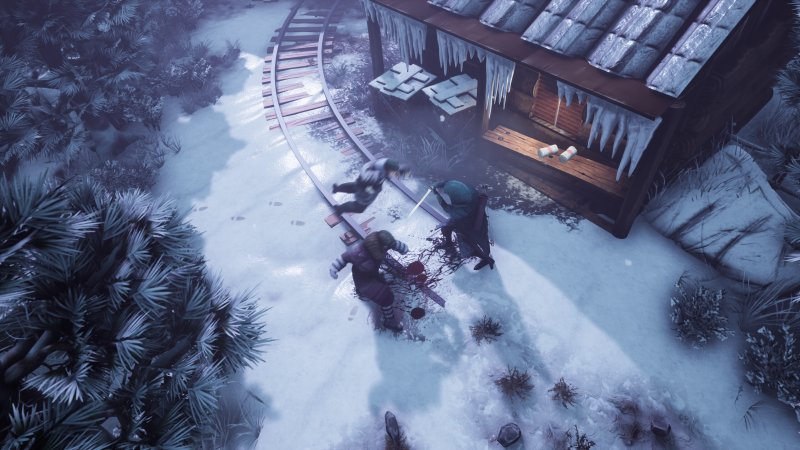 Winter Ember