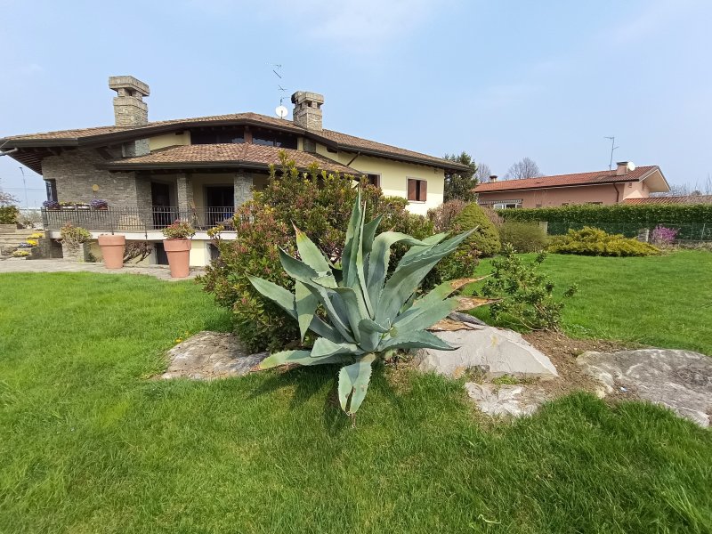 Uno scatto realizzato con la grandangolare posteriore di Vivo V23 5G