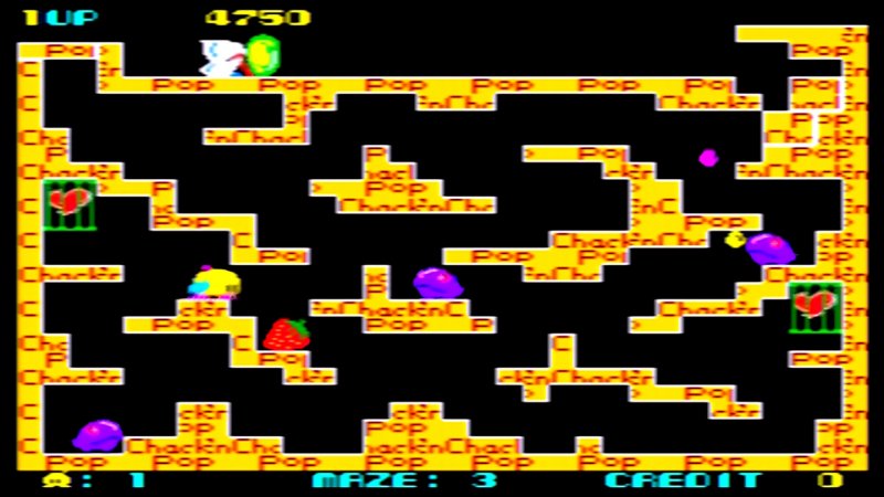Chack'n Pop è una sorta di antenato di Bubble Bobble, con alcuni dei personaggi in comune