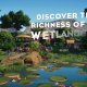 Planet Zoo: Wetlands Animal Pack - Il trailer di annuncio