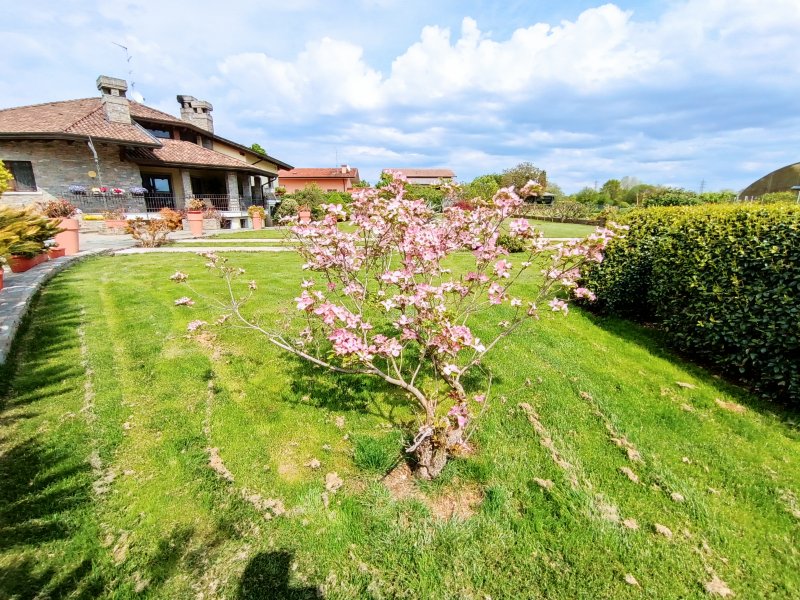 Una foto con la ultrawide di Redmi Note 11 Pro+ 5G