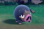 Pokémon Scarlatto e Violetto: Lechonk è una star dei social, spopolano i meme sul Pokémon porcellino - Notizia