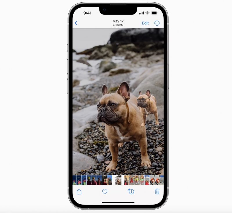 Ricerca visiva in iOS 16 Ricerca visiva in iOS 16