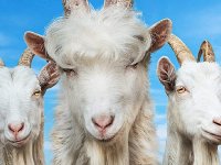 Goat Simulator 3, la recensione svela che è meglio, ma molto meglio di Goat Simulator 2