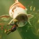 Groudend: data di uscita del gioco completo e nuovo trailer dall'Xbox Showcase 2022