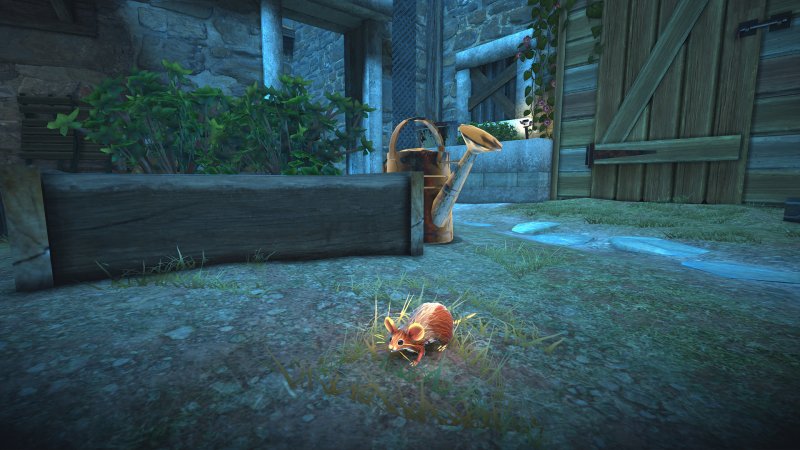 The Spirit and the Mouse