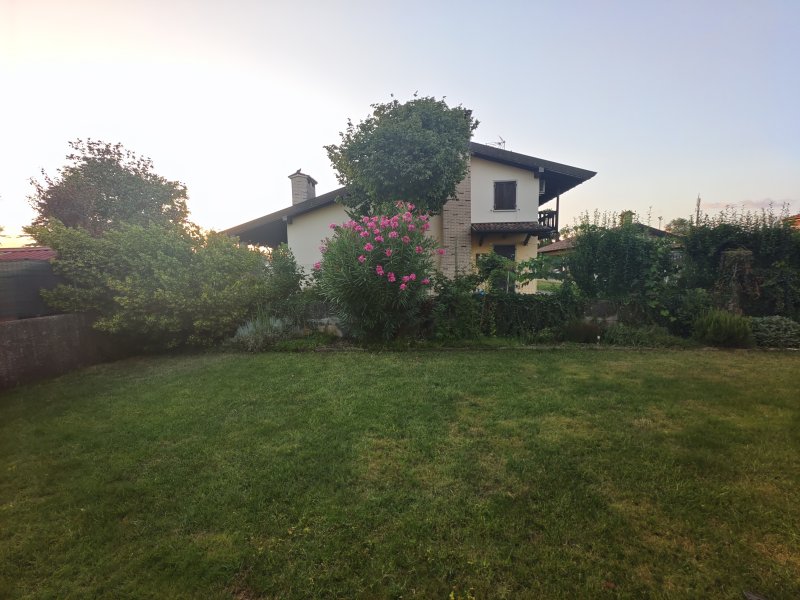 Vivo X80 Pro, uno scatto con l'obiettivo grandangolare Vivo X80 Pro, uno scatto con l'obiettivo grandangolare