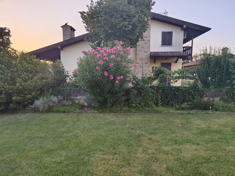 Vivo X80 Pro, uno scatto con l'obiettivo wide Vivo X80 Pro, uno scatto con l'obiettivo wide