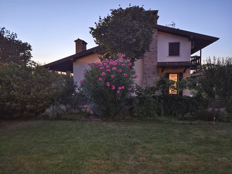 Vivo X80 Pro, l'eccezionale qualità della foto in notturna con pochissima luce ambientale Vivo X80 Pro, l'eccezionale qualità della foto in notturna con pochissima luce ambientale