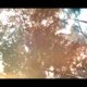 Sword Art Online Alicization Lycoris DLC2 - Blooming of Matricaria - Teaser Trailer
