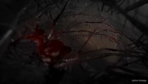 Ad Infinitum - Gameplay Trailer
