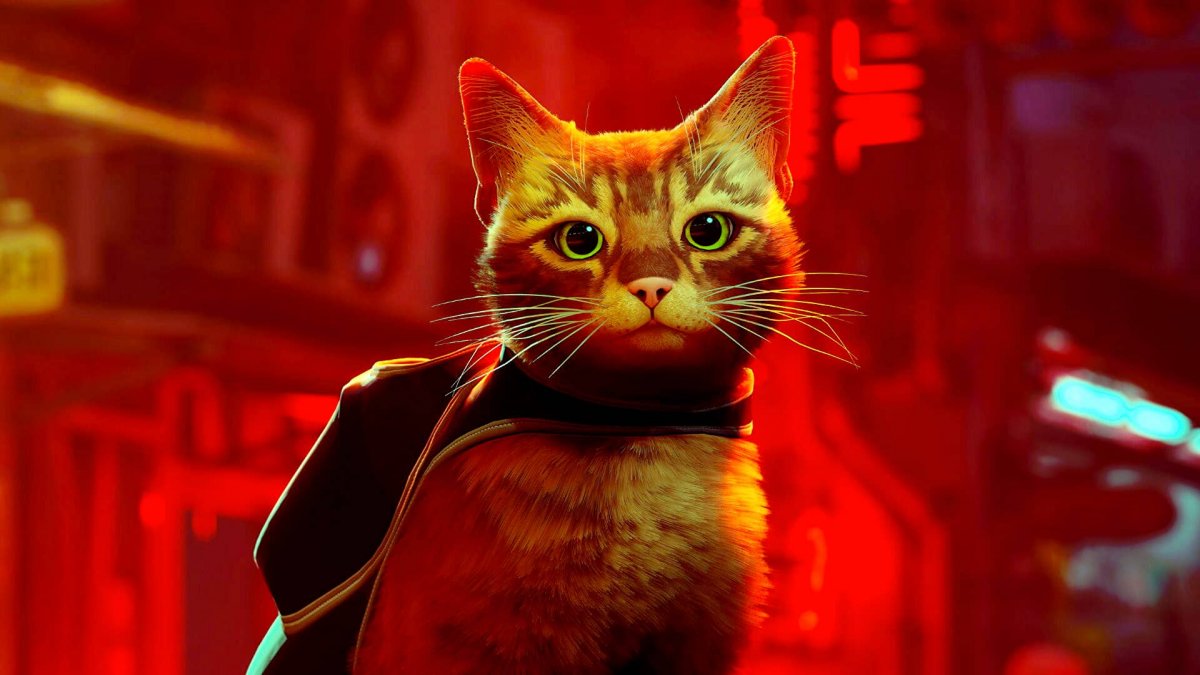 Stray, the developers present the real cats that inspired the protagonist – Nerd4.life