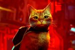 Stray, gli sviluppatori presentano i veri gatti a cui è ispirato il protagonista - Notizia