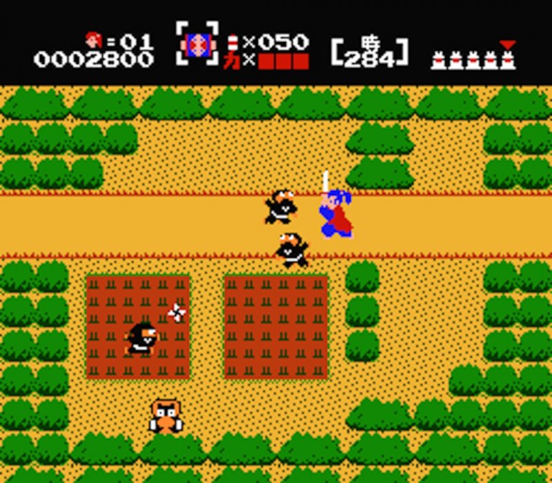 The Mysterious Murasame Castle: è uscito nel 1986, solo in Giappone, su Famicom Disk System The Mysterious Murasame Castle: è uscito nel 1986, solo in Giappone, su Famicom Disk System