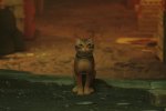 Stray su PC e Mac scende sotto i 15€ su Instant Gaming: ritorna in sconto il gioco del “gatto” - Notizia