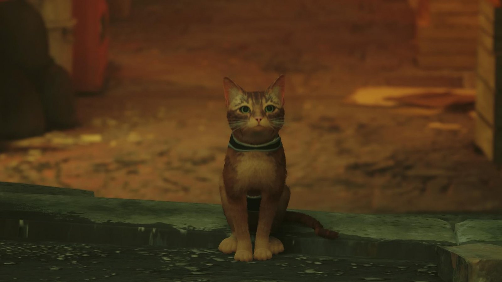 Stray