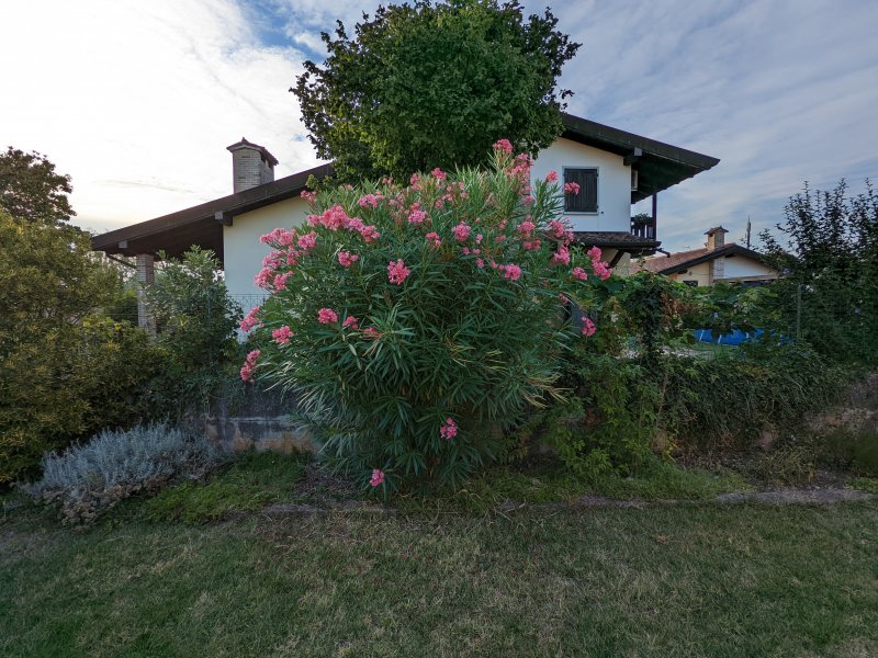 Google Pixel 6a, foto con ultrawide Google Pixel 6a, foto con ultrawide