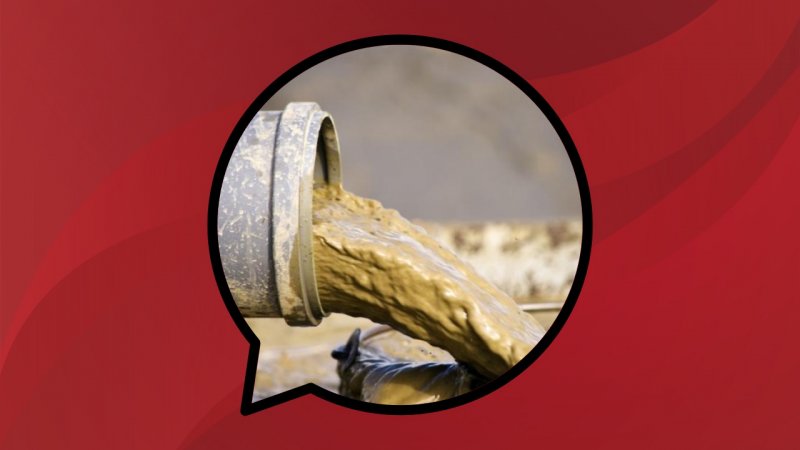 I videogiocatori sono diventati dei liquami tossici?