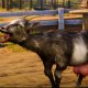 Goat Simulator 3, nuovo video di gameplay dalla Gamescom 2022